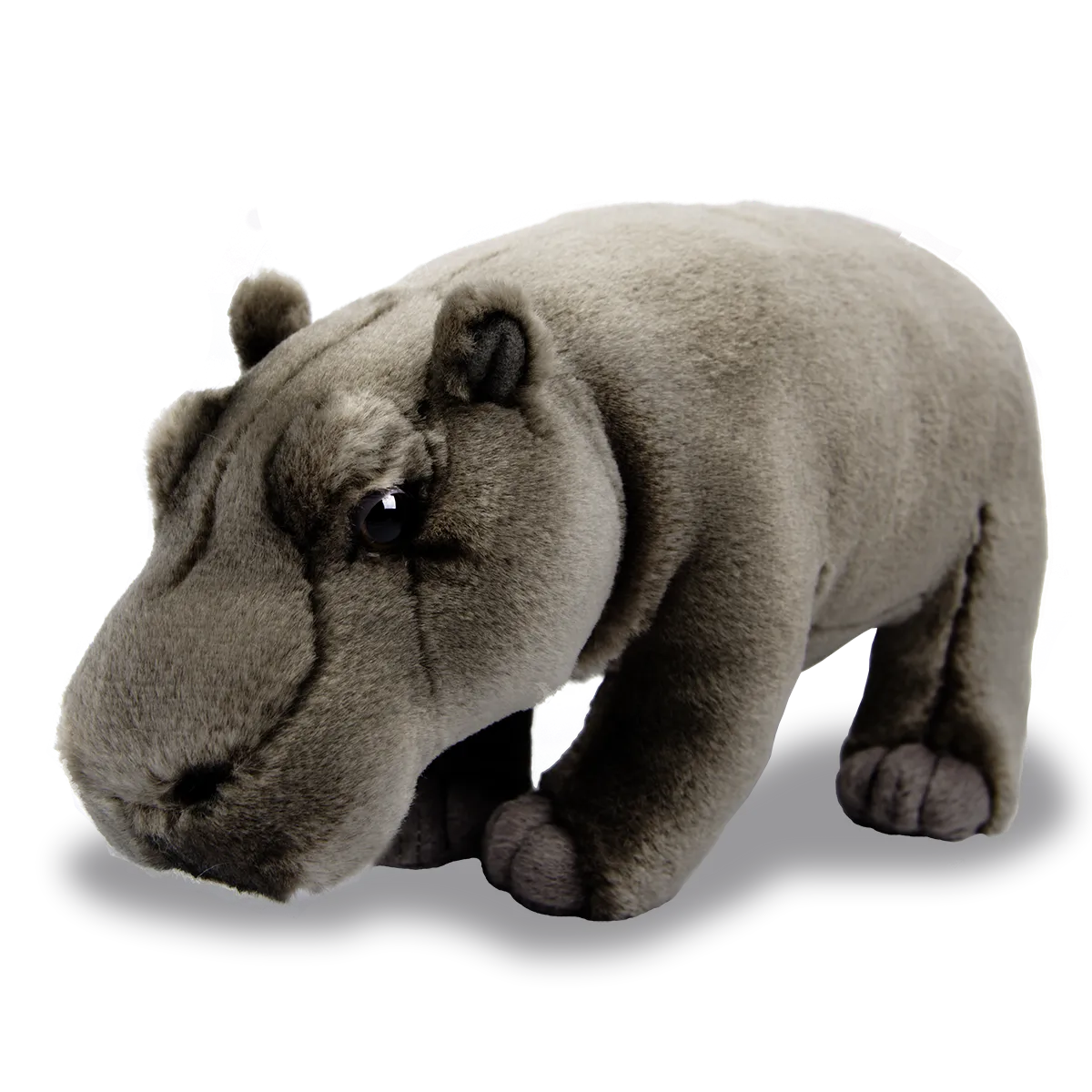 Hippopotamus