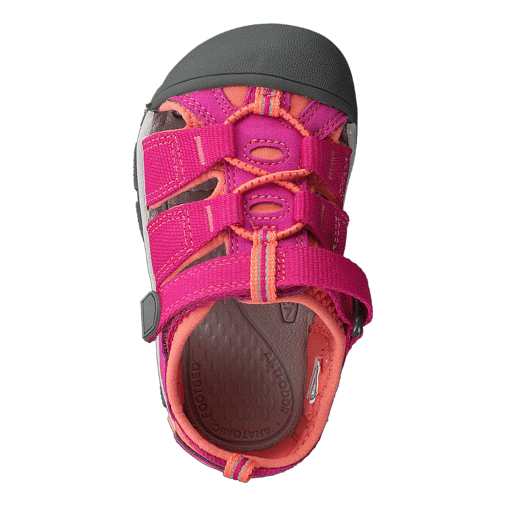Newport H2 Tots Very Berry/fusion Coral